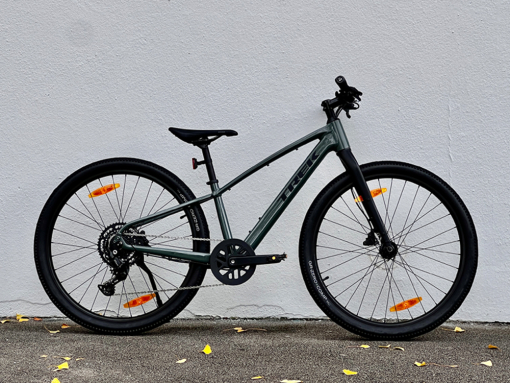Trek Dual Sport 3
