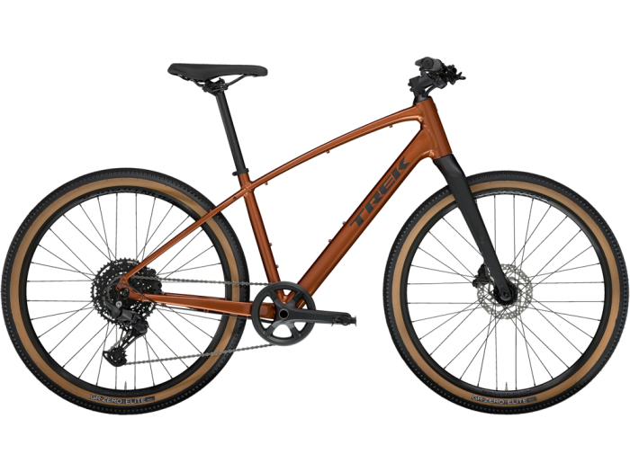 Trek Dual Sport 3